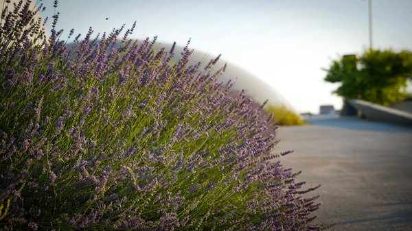 Recherche de fuite à Bandol : combien coûte l'intervention d'un plombier qualifié ?
