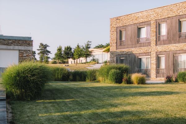 Quelle est la méthode simple pour entretenir une pelouse avec des produits naturels ?
